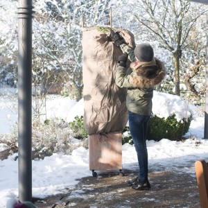 Beiger Videx Garden Thermomantel XL Extreme schützt Olive im Winter vor Frost.