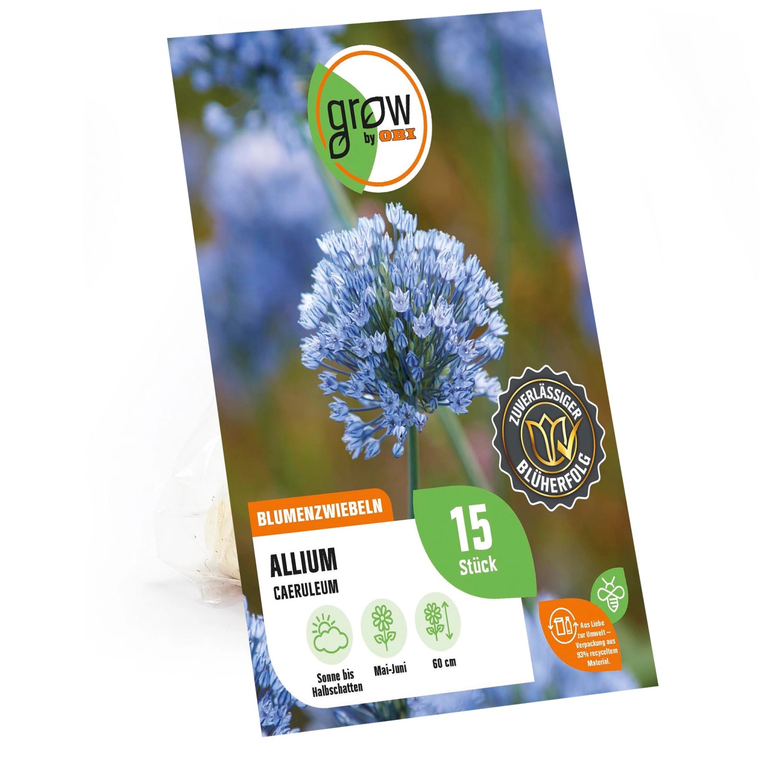 GROW by OBI Zierlauch Blau 60 cm Allium caeruleum günstig online kaufen