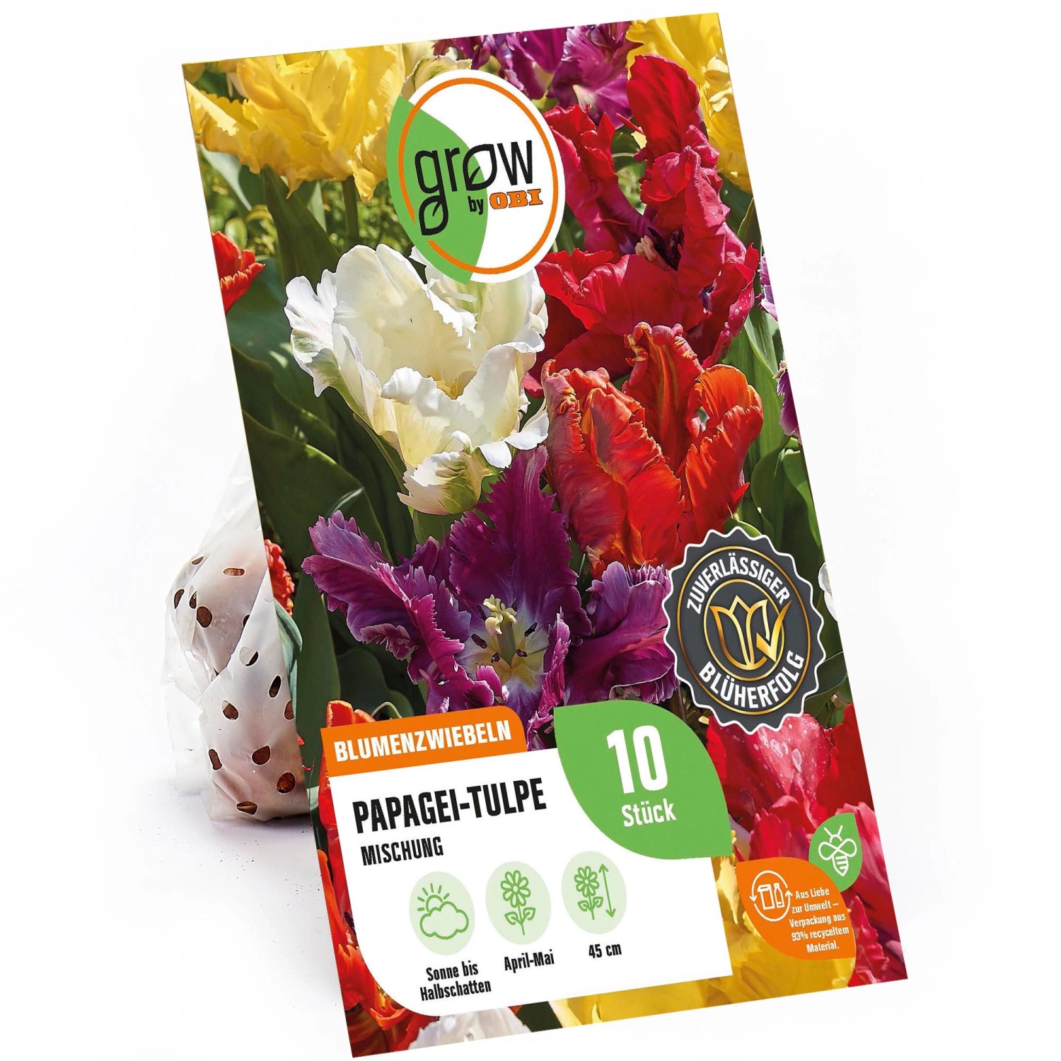 GROW by OBI Papagei-Tulpe Mischung 45 cm Tulipa