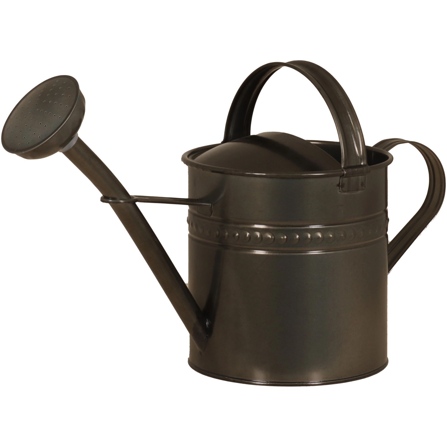 Zink-Gießkanne Blacklook mit Brause 6,5 L 49 cm x 21 cm x 30 cm