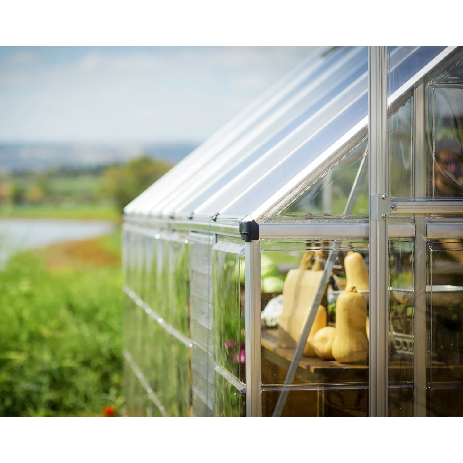 Silbernes Palram Canopia Gewächshaus Balance mit Polycarbonat-Paneelen und Pflanzen.