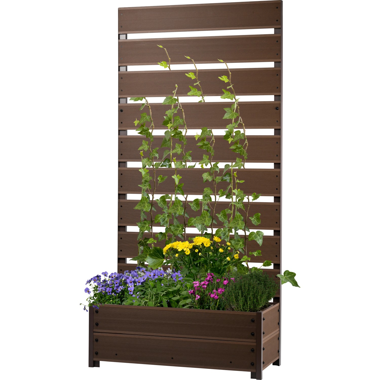 Dobar Pflanzbeet mit Rankgitter aus WPC 137 cm x 72 cm x 33 cm Dunkelbraun