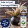 Belton Free AQUAcolours Buntlack Spray RAL 8017 Schokobraun hochglänzend, mit Dekoration.