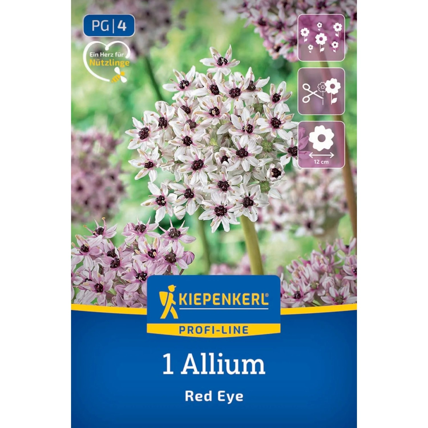 Kiepenkerl Blumenzwiebel Profi-Line Zierlauch Red Eye 1 Stück