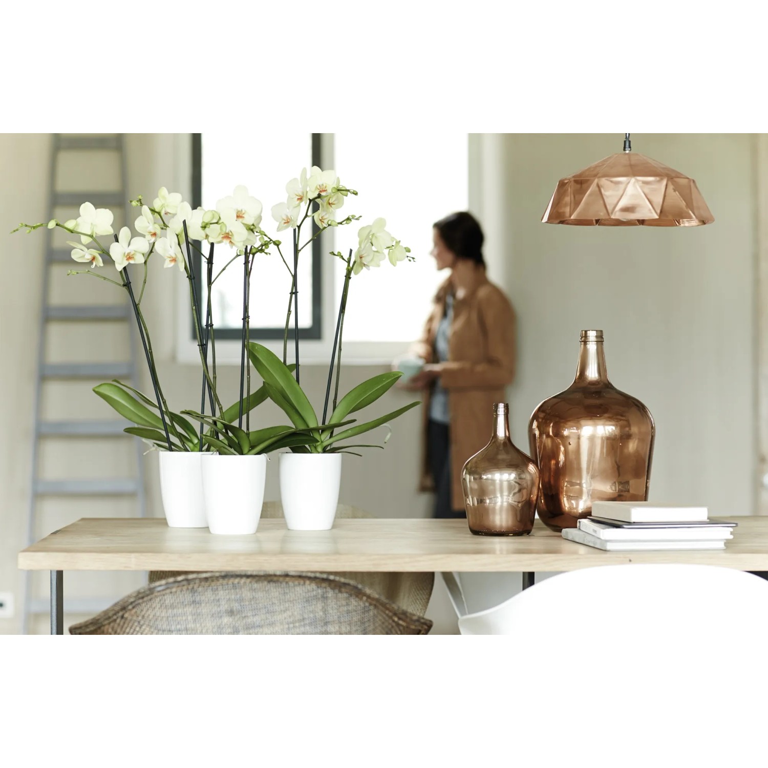 Elho Brussels Orchideentopf, hoch, Ø 12,5 cm, weiß, mit Orchideen bepflanzt.