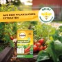 Solabiol Veggie Boost Universaldünger 250ml für gesundes Gemüsewachstum.