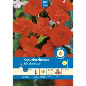 Pabst Keimkraft Kapuzinerkresse Scharlachjuwel Saatgut mit leuchtend roten Blüten.