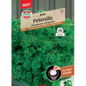 Sperli Petersilie Darki Saatscheibe mit dicht gekrausten, dunkelgrünen Blättern.