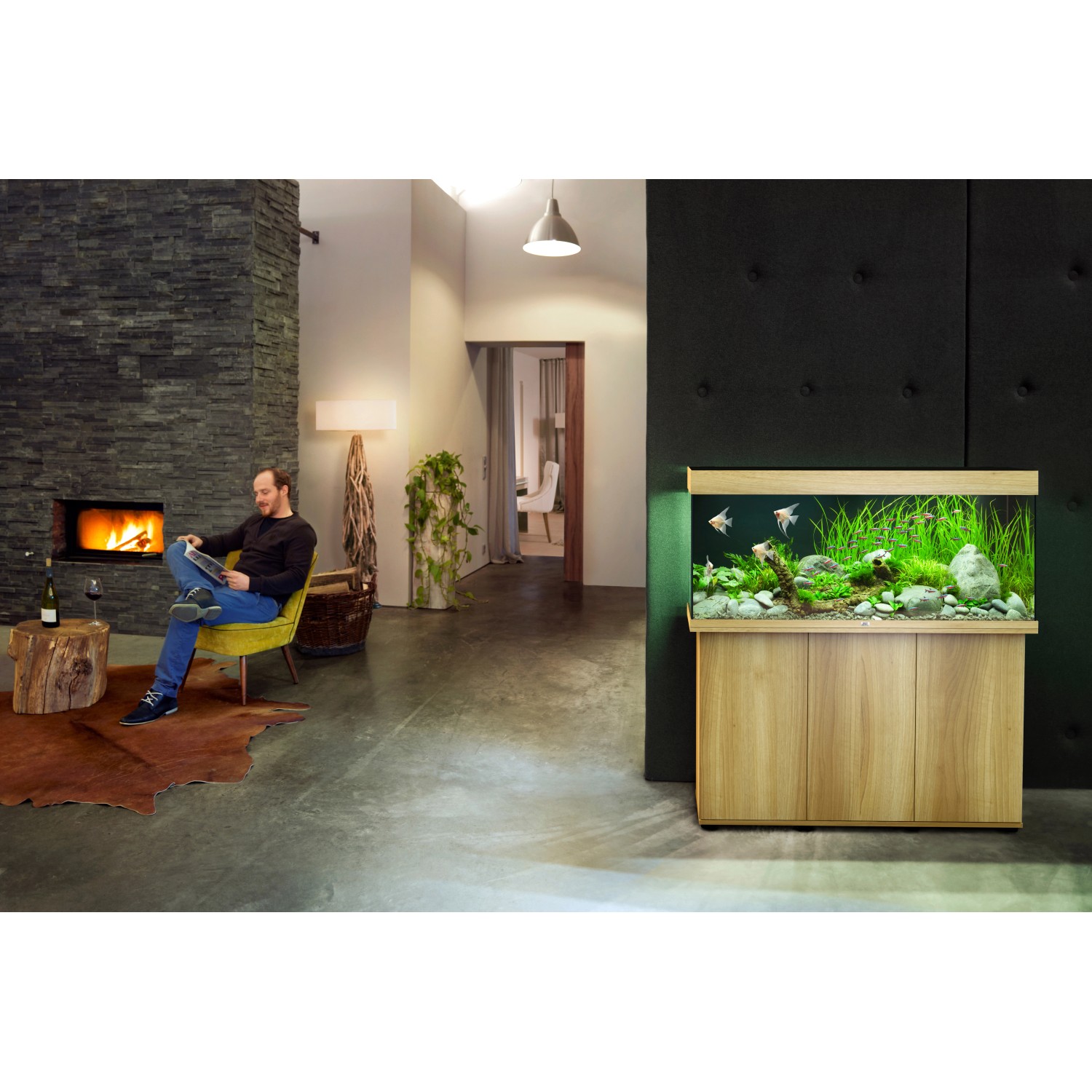Juwel Aquarium-Set Rio LED, helles Holz, 240 l, im Wohnraum mit Fischen und Pflanzen.