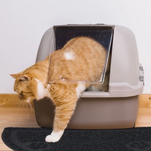 Orange Katze tritt aus grauem Katzenklo auf schwarze, rutschfeste PVC Katzenklo Matte mit Pfotenmotiv zum Auffangen von Streu.