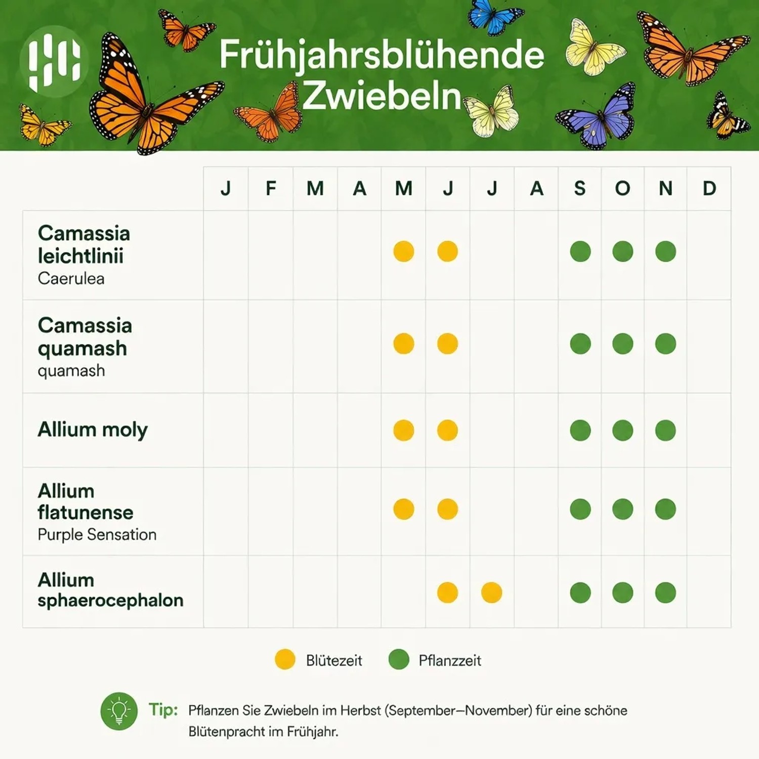 Kalender: Vdvelde Aqua Bulbs Blumenzwiebeln für den Teichrand. Blüte- & Pflanzzeiten 5 schmetterlingsfreundlicher Sorten.