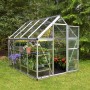 Palram Canopia Gewächshaus Silber 4,6 m² mit Pflanzen und geöffneter Tür im Garten.