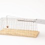 Drahtkäfig-Rattenfalle als Lebendfalle mit Köder auf Holzbrett