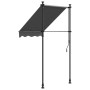 vidaXL Markise Einziehbar Anthrazit 100x150 cm Stoff und Stahl 368736_5