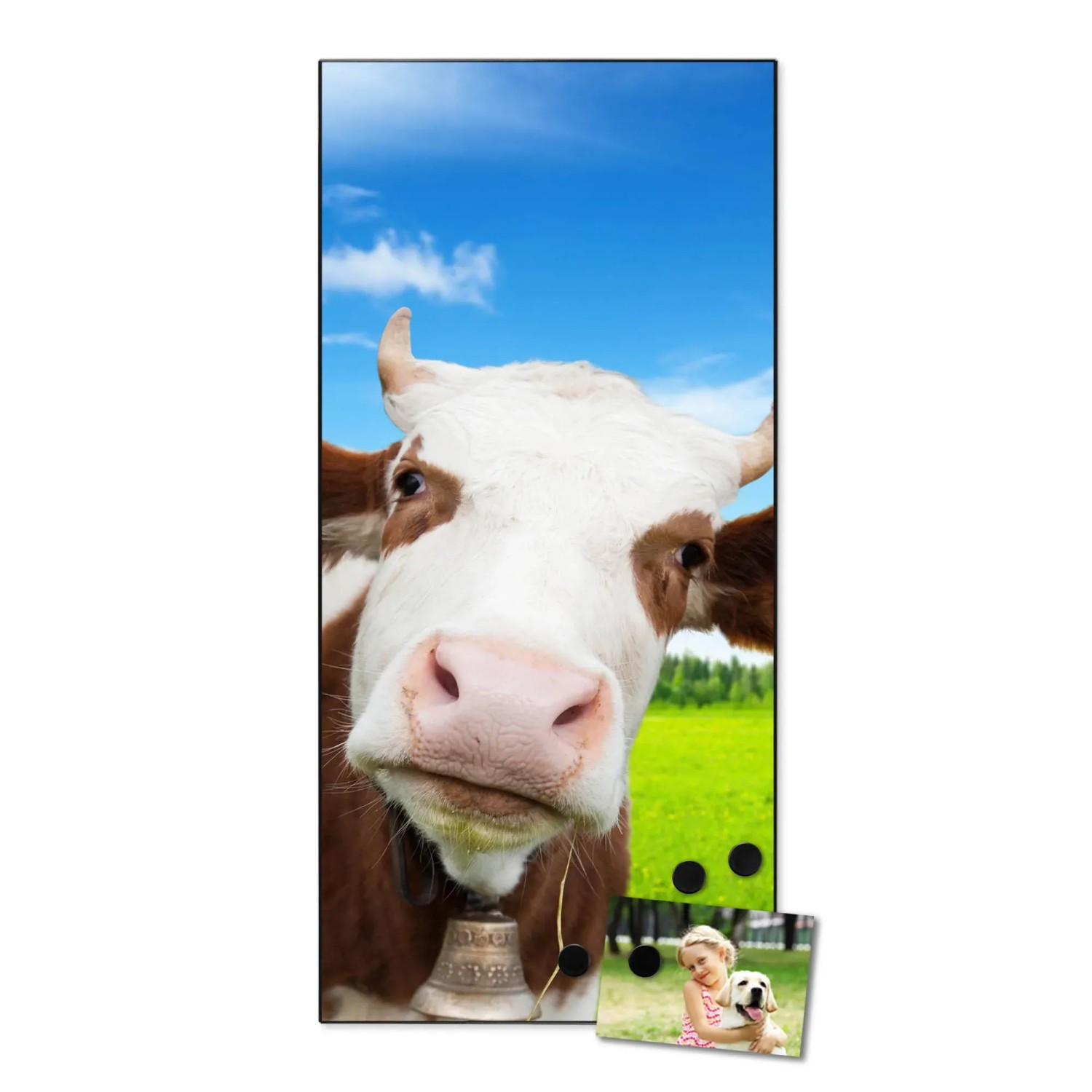 Banjado Magnettafel mit Kuh-Motiv, 37x78cm, inkl. Magnete. Dekorative Wanddekoration für Notizen.