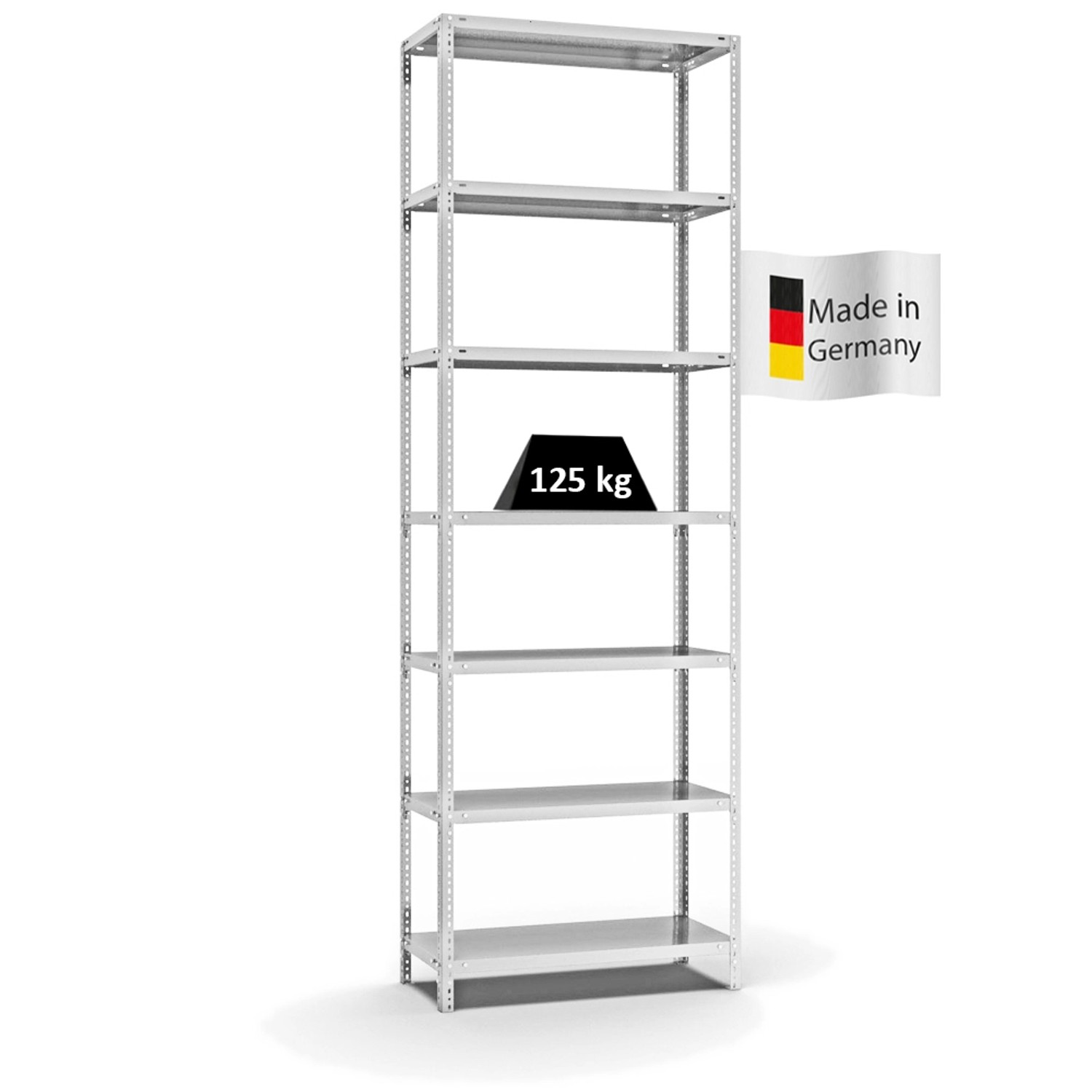 PROREGAL Fachbodenregal Schraubsystem Light-Duty Grundregal HxBxT 300 x 100 günstig online kaufen