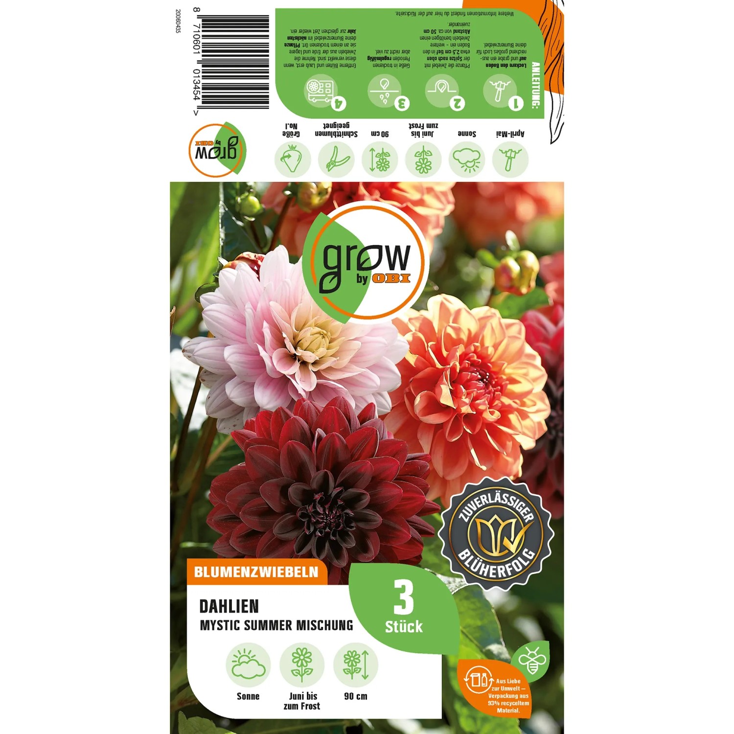 GROW by OBI Dahlien Mystic Summer Kollektion mit dunkelroten, rosa und orangefarbenen Blüten.