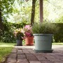 Grüner Elho Universal-Untersetzer (Ø 25 cm) unter Pflanztopf im Garten.