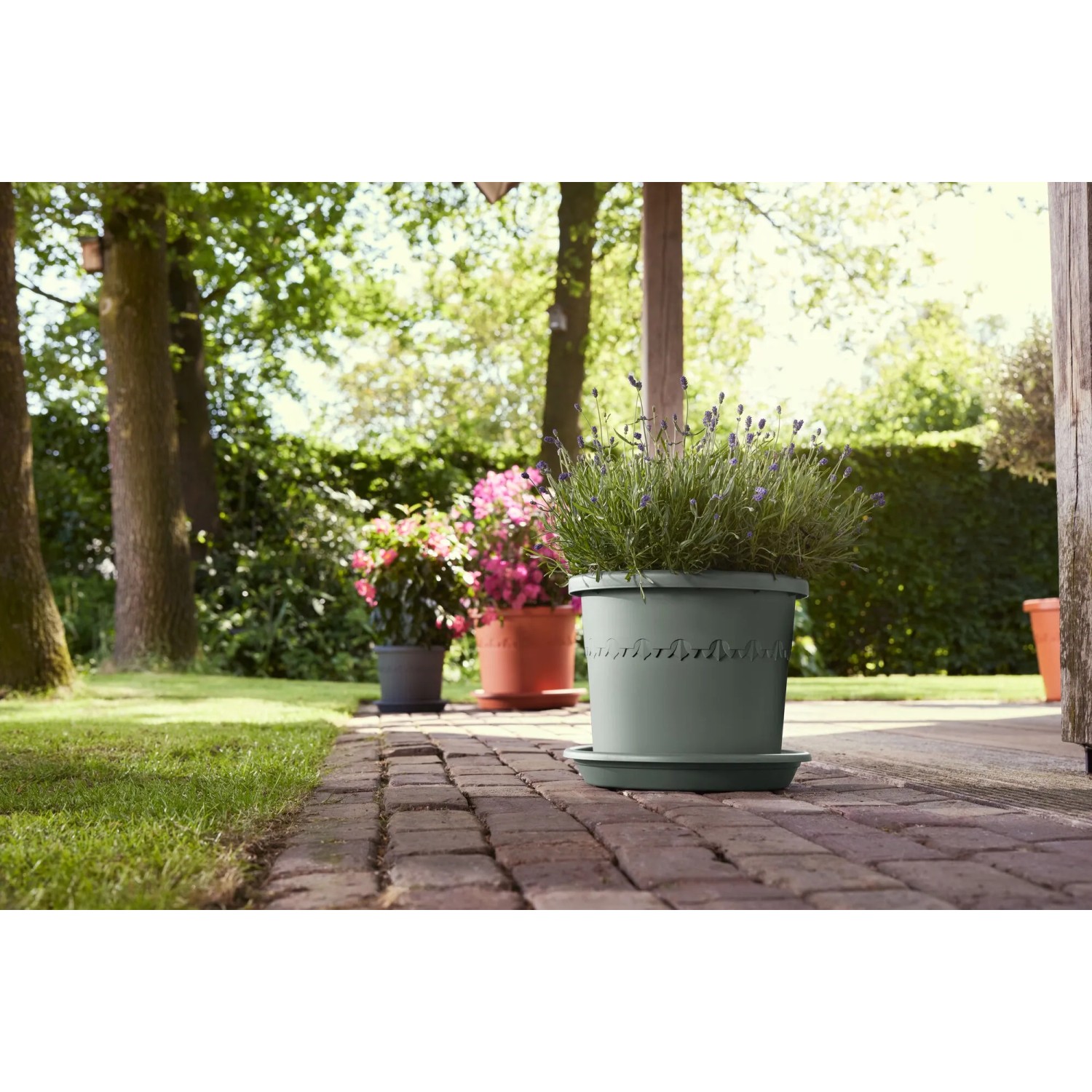 Grüner Elho Universal-Untersetzer (Ø 25 cm) unter Pflanztopf im Garten.