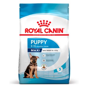 Royal Canin Maxi Puppy Trockenfutter für Welpen großer Rassen im Futtersack.