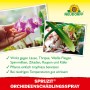 Neudorff Spruzit Orchideenspray: Anwendung gegen Schädlinge an Orchideen, wie Blattläuse, Spinnmilben und Weiße Fliegen.