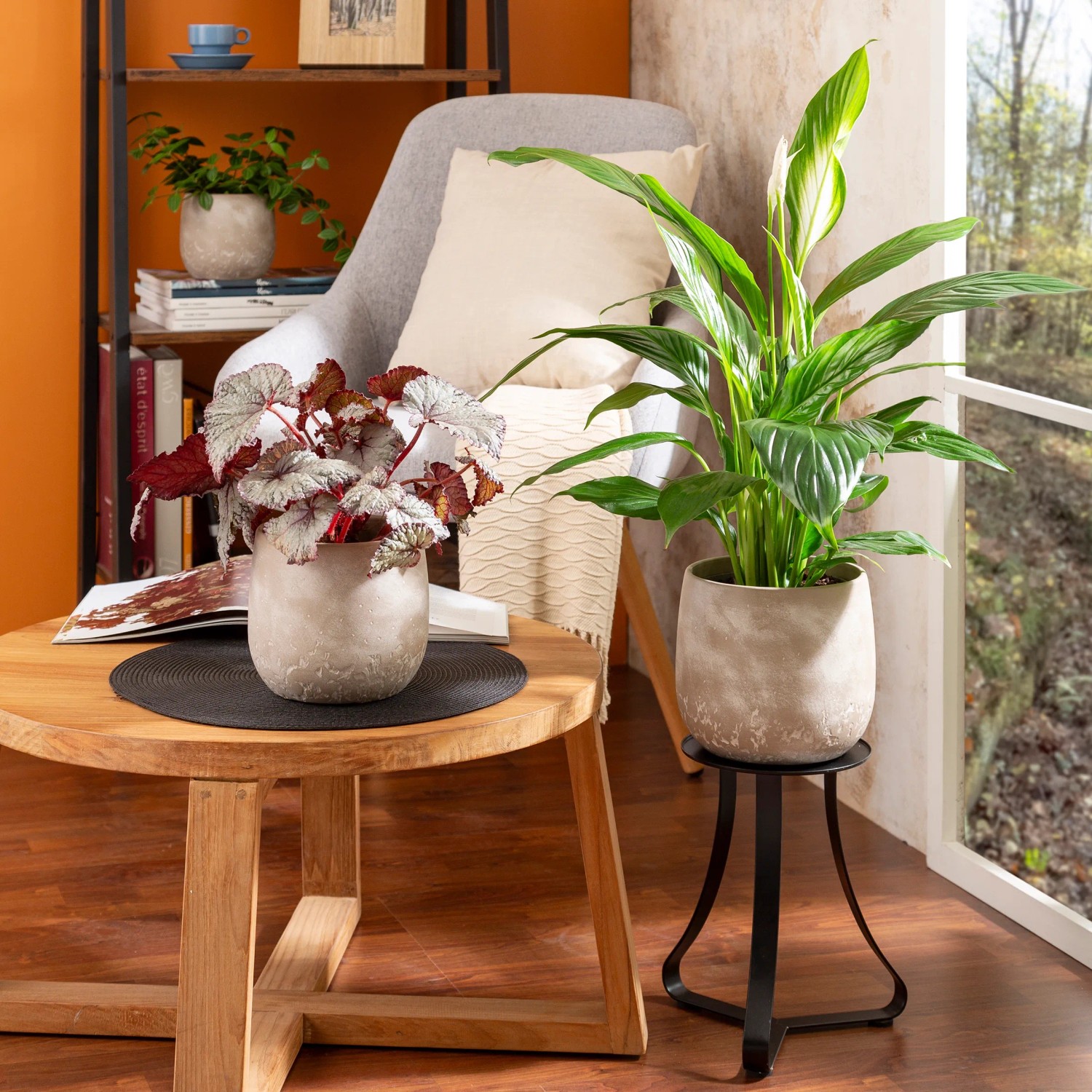 Produktbild von Scheurich Dune Blumentopf – Keramik In Washed Cream, 17,64 Cm, 17 Cm Hoch, 6,1 L – Handgefertigter Übertopf Für Drinnen