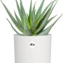 Weißer, runder Elho Blumentopf B.For Soft (Ø 13,8 cm) mit grüner Pflanze, ideal für den Innenbereich.