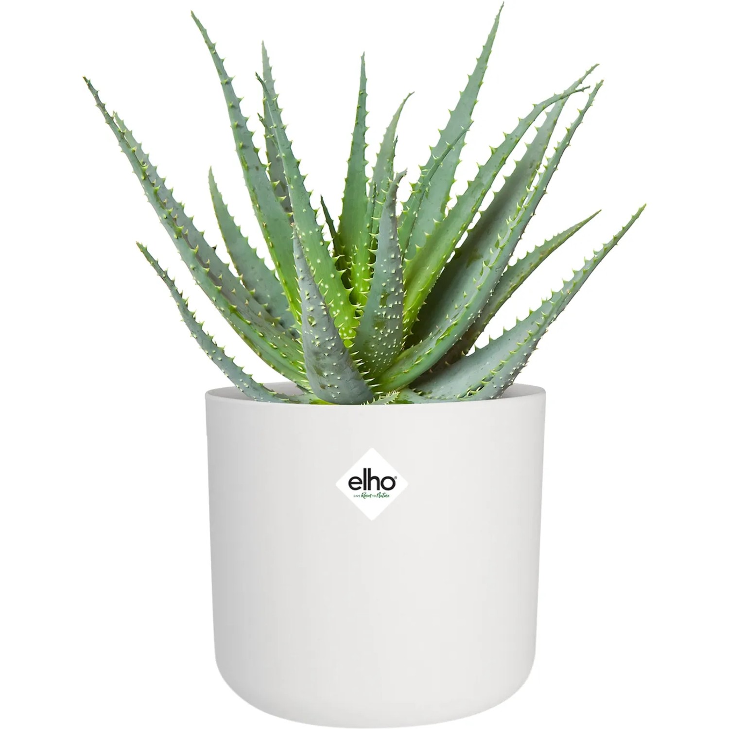 Weißer, runder Elho Blumentopf B.For Soft (Ø 13,8 cm) mit grüner Pflanze, ideal für den Innenbereich.