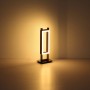 Moderne LED-Stehlampe Illa in Schwarz matt, 150cm hoch, für stimmungsvolle Beleuchtung.