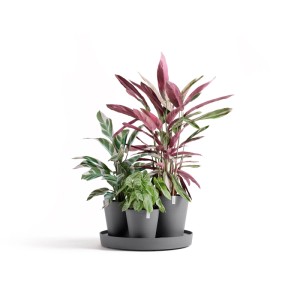 Ecopots Pflanztopf Dubai Grau Ø 57 cm / Höhe 30 cm