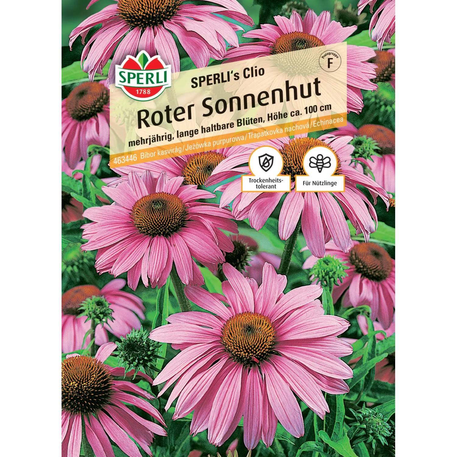 Sperli Schmuckkörbchen "Sensation Mischung" Cosmos bipinnatus