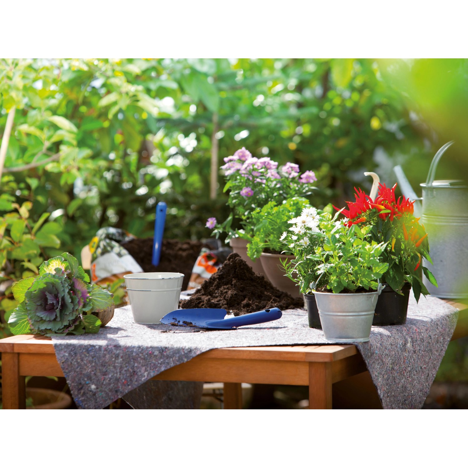 Abdeckvlies 1 m x 10 m_2