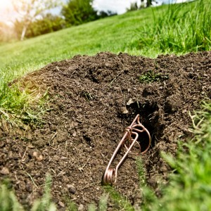 Windhager Wühlmausfalle aus Draht im Erdloch platziert. Effektive Wühlmausbekämpfung im Garten.