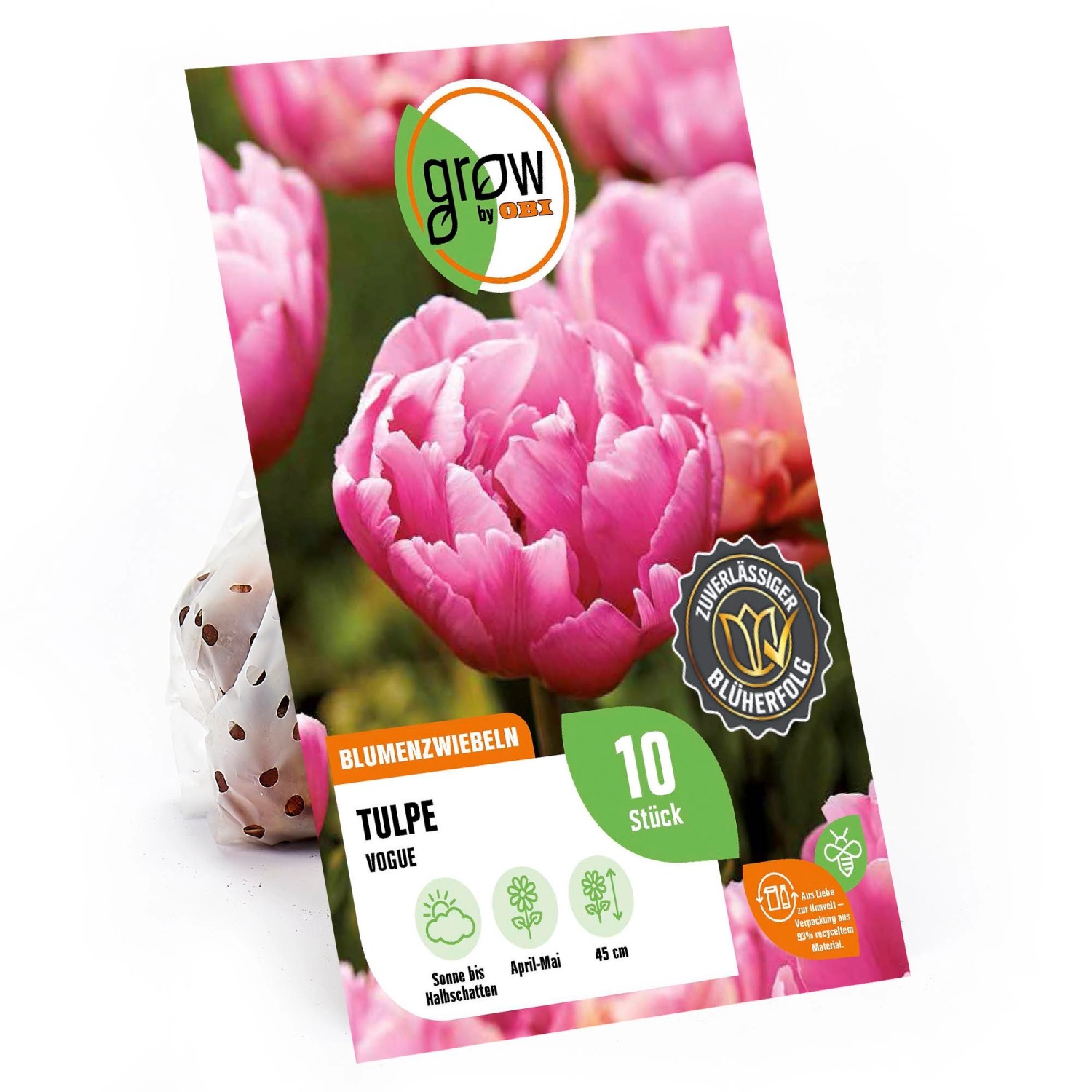 GROW by OBI Pfingstrosen-Tulpe Vogue Rosa-Weiß 45 cm Tulipa