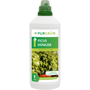 Purgrün Ficus-Dünger 1 Liter