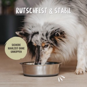 Rudelkönig Edelstahlnapf Hund 2er Set 900 ml Rutschfest BPA Frei