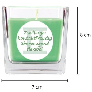 HS Candle Duftkerze Zwillinge im Glas, Coconut Limes Duft, grüne Stumpenkerze.