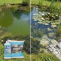 Vdvelde Pond Care   Teichpflegeset Bis 20.000L   Gegen Algen Schlamm & Trübung_3