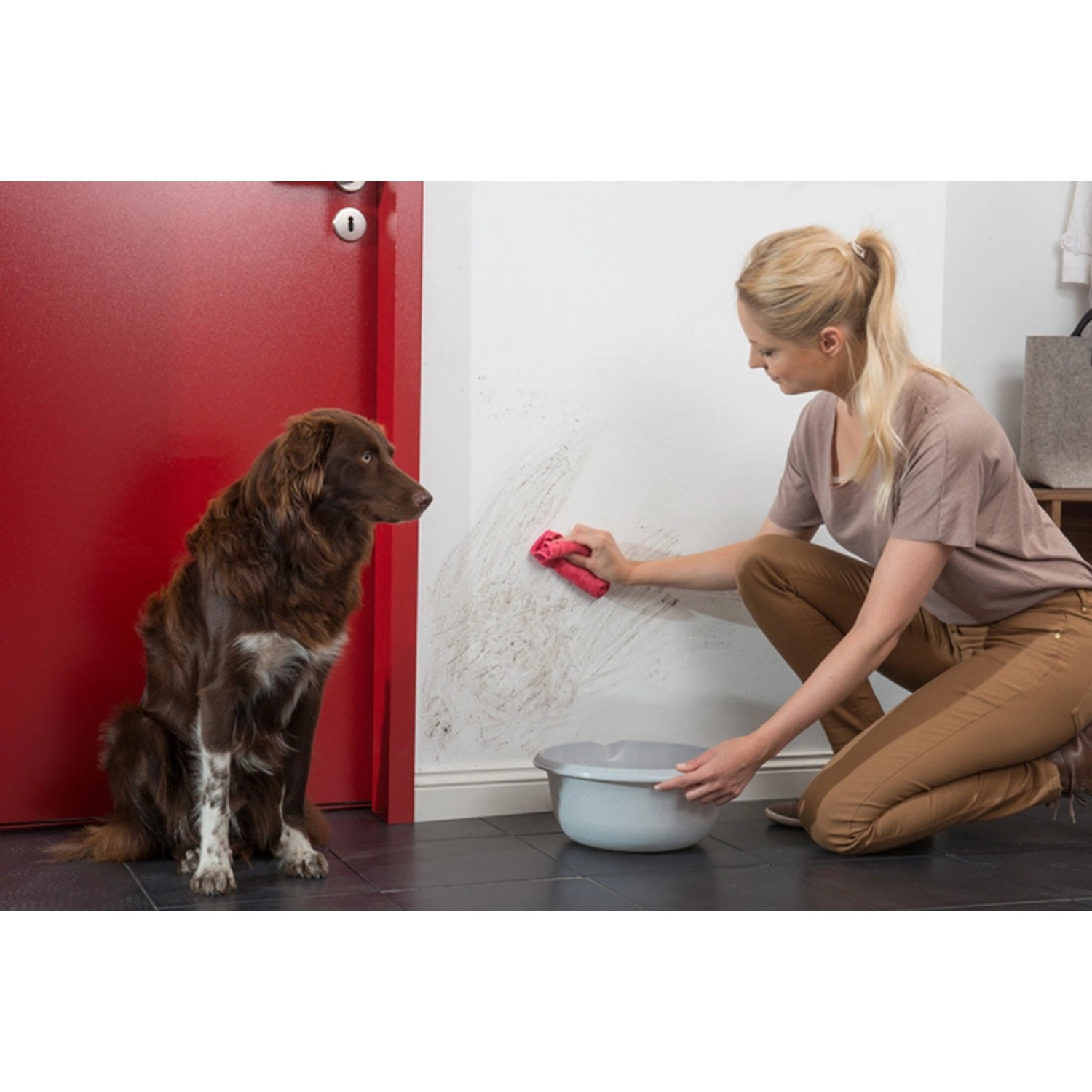 Frau reinigt Wand mit Histor Clean Wandfarbe, Hund sitzt daneben.