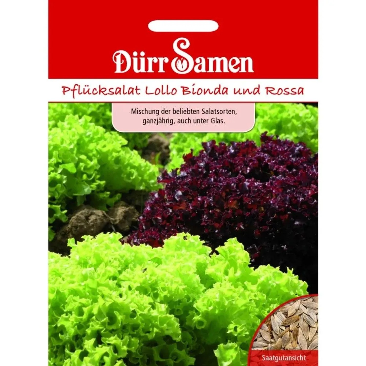 Dürr Samen Pflücksalat Lollo Mischung Bionda + Rossa Saatgut