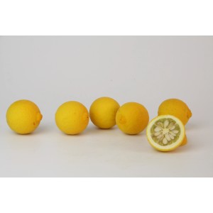 Blu Bio-Bitterorangen, Topf-Ø 12 cm, Poncirus trifoliata, gelbe Früchte, eine halbiert.
