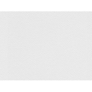 Weiße Meistervlies Protect Vliestapete mit Putzoptik und feiner Struktur.