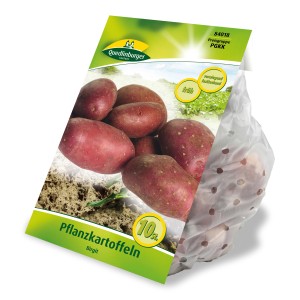 Quedlinburger Pflanzkartoffeln 'Birgit', rotschalig, vorwiegend festkochend, im Kleinpack.