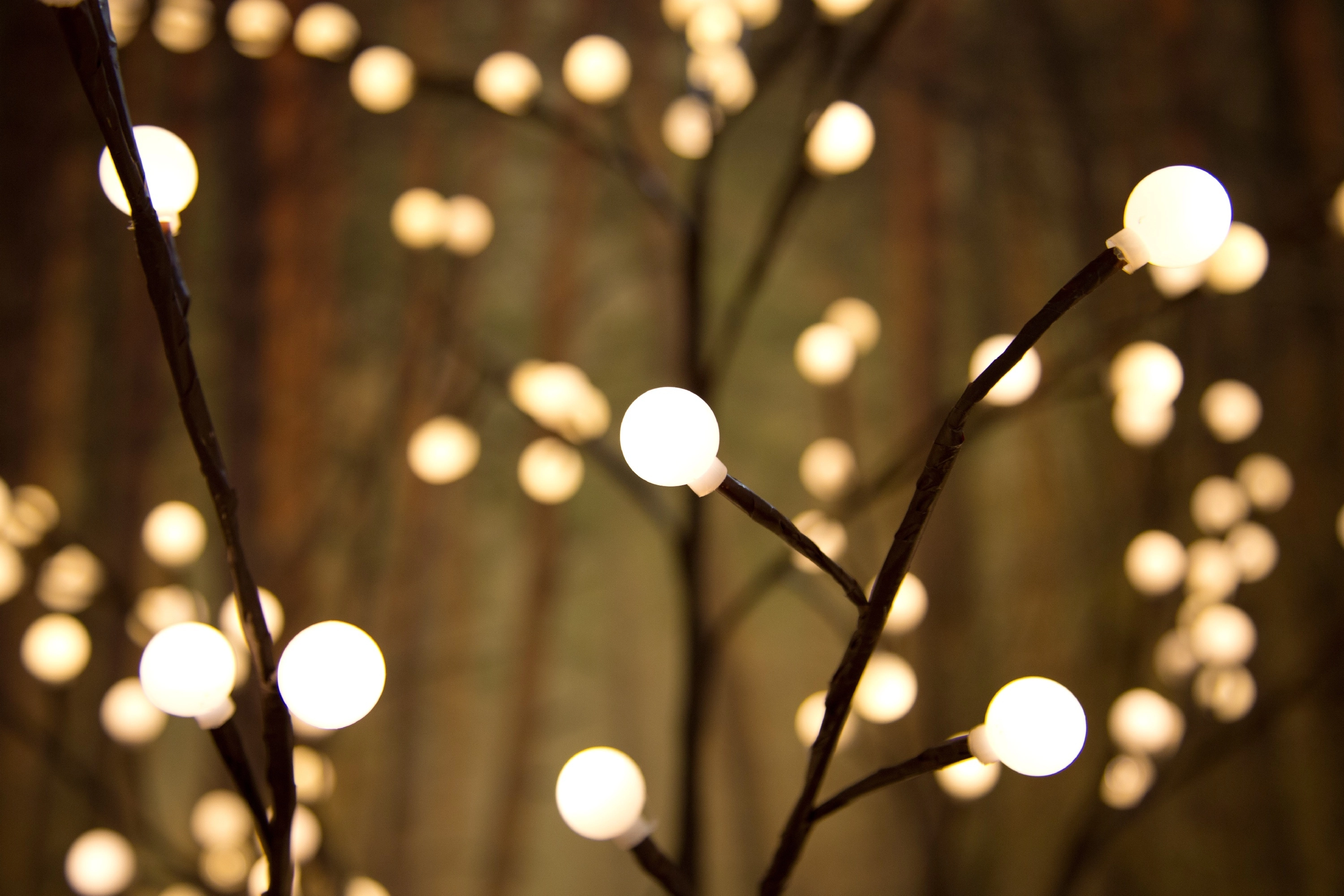 Konstsmide LED-Lichterbaum Braun 250 cm 240 Dioden Warmweiß kaufen bei OBI