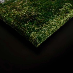 Bricoflor Leinwandbild Wald, grüne Baumkronen, Natur Wandbild für Wohn- und Schlafzimmer.
