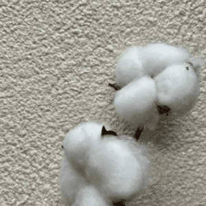 Floxxan Baumwollputz California 205 Vanille mit Silberglimmer und Baumwolle