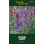 Dunkelgrüne Ysop Samenpackung mit Bild tiefblauer Blüten. Mehrjähriges Küchenkräuter-Saatgut für ca. 150 Pflanzen.