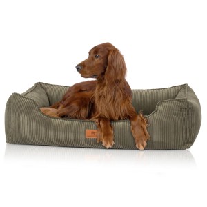Khaki Knuffelwuff Hundebett Nunavut Orthopädisch Cord M-L mit Hund