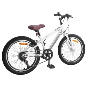 vidaXL Mountainbike 20 Zoll 6-Speed für 5-8 Jahre Alt Weiß 42009746