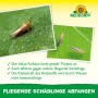 Neudorff Blau-Sticker: Insektenfalle gegen Thripse und fliegende Schädlinge auf Pflanzen.